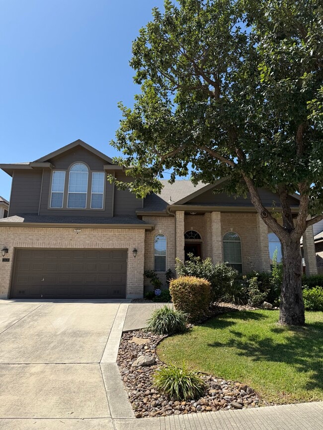 property at 11638 Catchfly