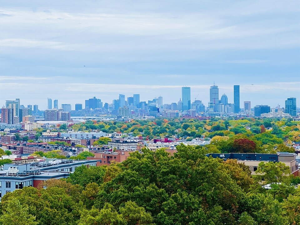 1 Nevins Hl Wy in Boston, MA - Building Photo