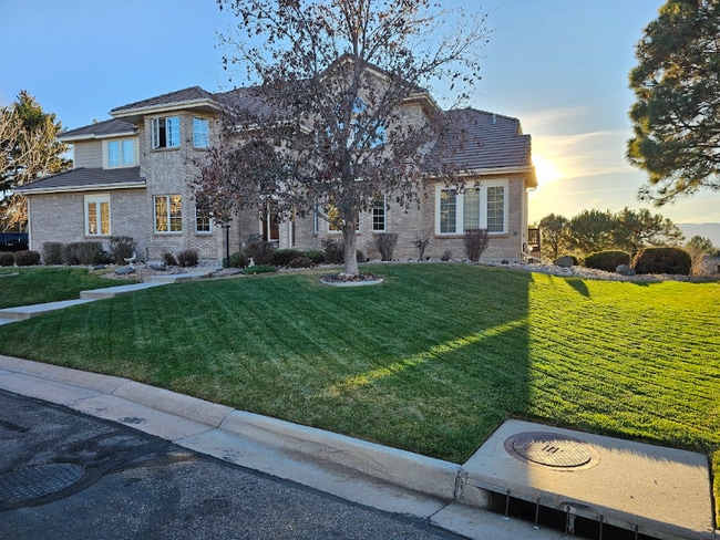 74 Falcon Hills Dr