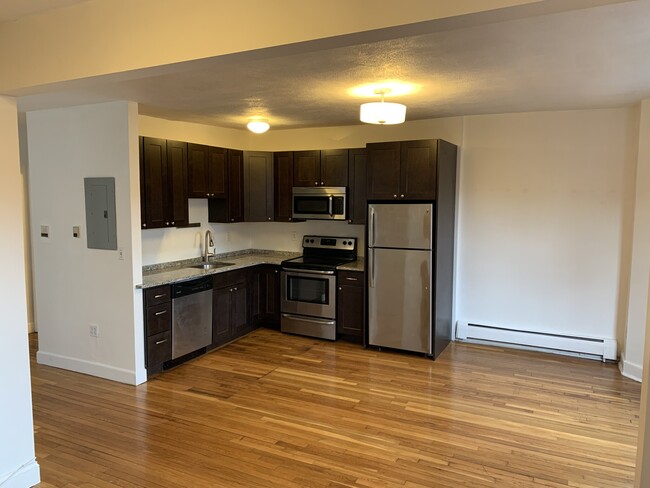 40 E Springfield St, Unit 5 in Boston, MA - Building Photo - Building Photo