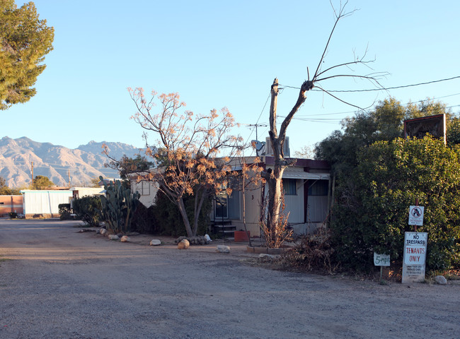 3985 E Presidio Rd in Tucson, AZ - Building Photo - Building Photo