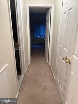 803 Mountainview Dr in Chesterbrook, PA - Building Photo