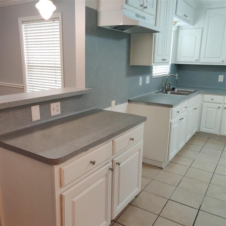 919 Oak Meadows St in Houston, TX - Building Photo