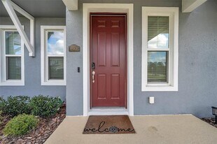 4966 Avalon Park Blvd in Wesley Chapel, FL - Building Photo