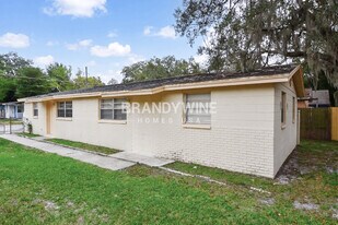 10112 N Lantana Ave in Tampa, FL - Building Photo