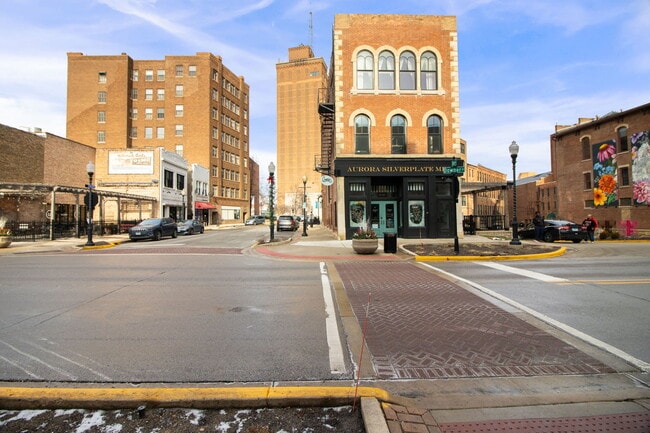 6 E Downer Pl in Aurora, IL - Building Photo - Building Photo