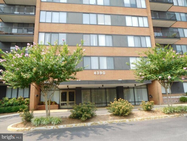 4390 Lorcom Ln in Arlington, VA - Building Photo - Building Photo