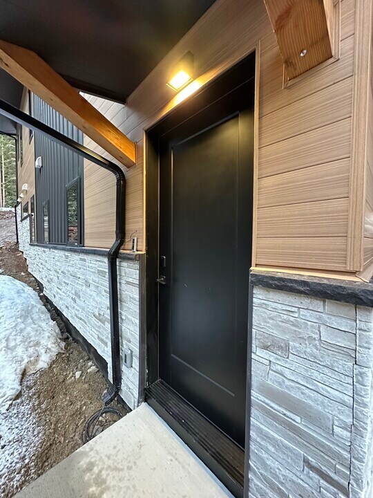 505 Co Rd 528 in Breckenridge, CO - Building Photo