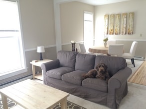 42 Downing St in Concord, NH - Building Photo - Building Photo