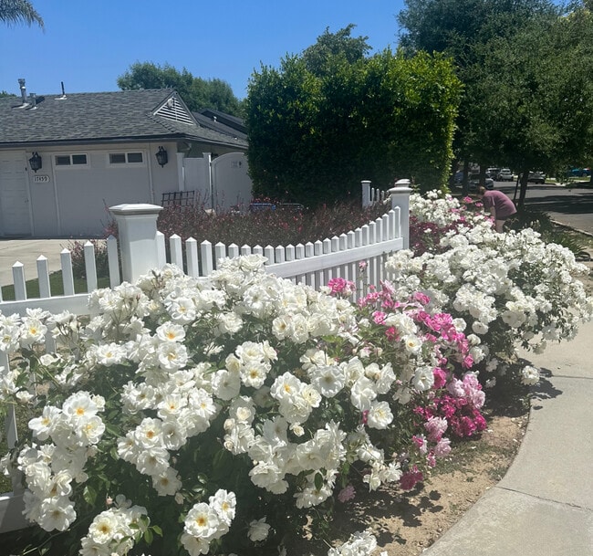 17461 Keswick St in Los Angeles, CA - Building Photo - Building Photo
