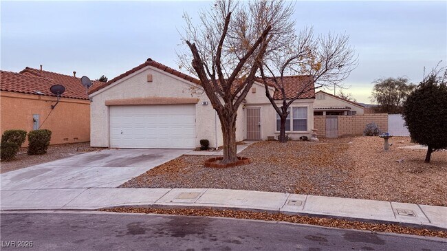 788 Salt Flats Cir in Henderson, NV - Building Photo - Building Photo