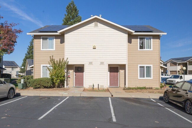 Shingle Terrace Apartments in Shingle Springs, CA - Building Photo - Building Photo