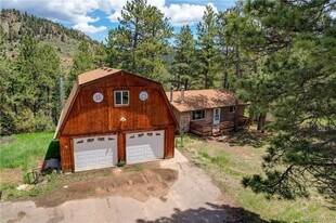 2027 Roland Dr in Bailey, CO - Building Photo