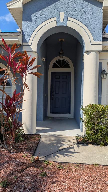 14626 Corkwood Dr in Tampa, FL - Building Photo - Building Photo