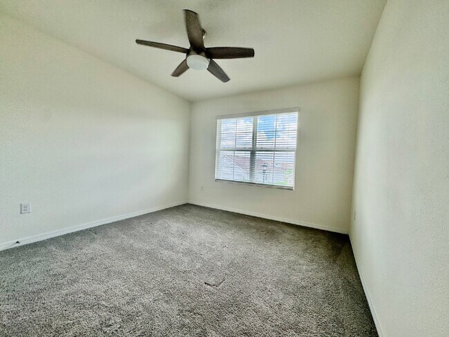 33481 Apricot Tree Ct in Wesley Chapel, FL - Building Photo - Building Photo