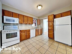 1573 W 100th Pl in Chicago, IL - Building Photo - Building Photo