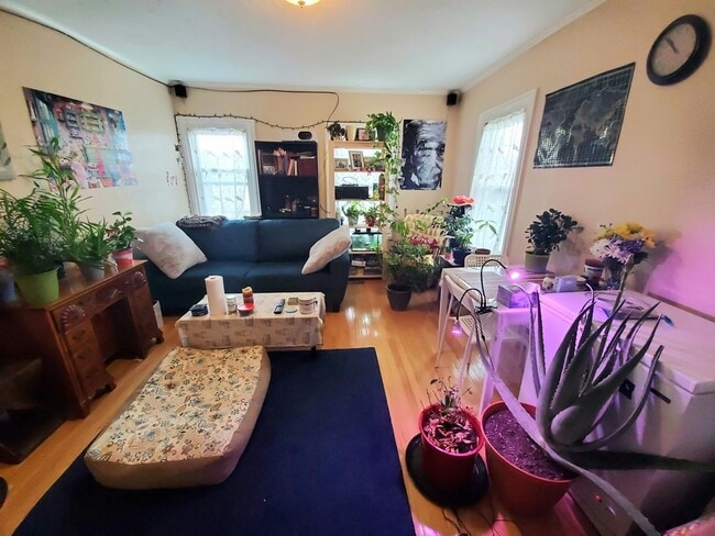 41 Mount Pleasant St