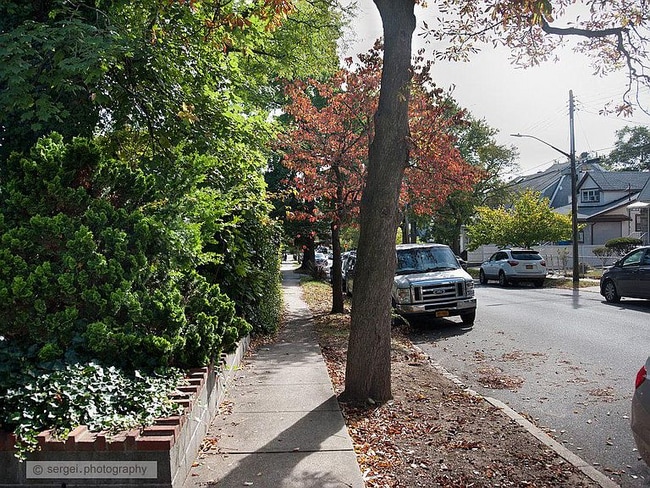 45-45-4159 159th St in Queens, NY - Foto de edificio - Building Photo