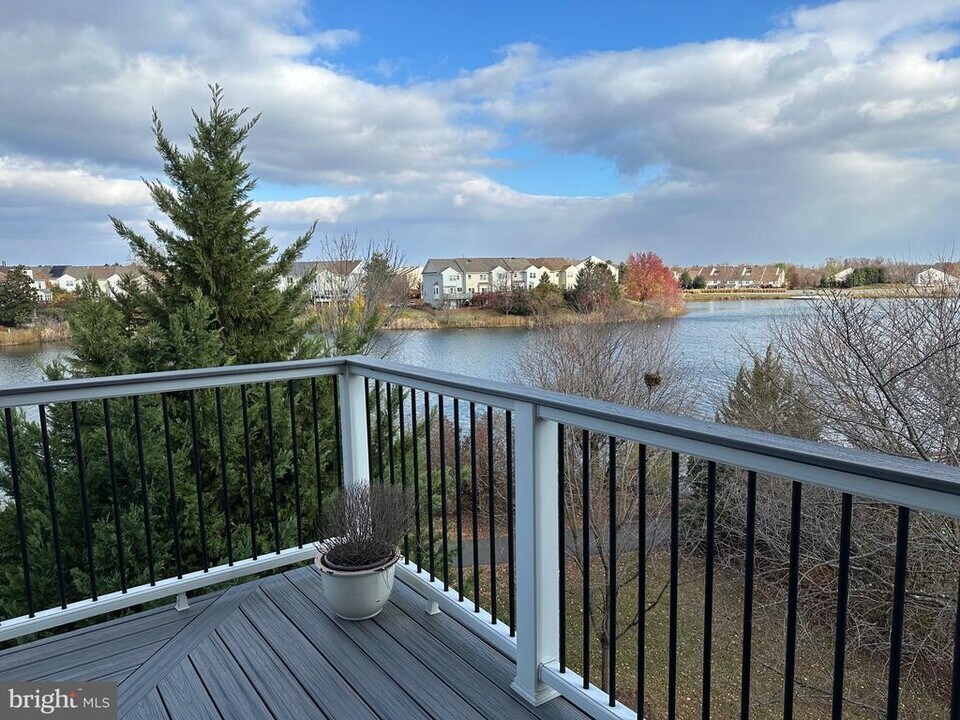 20594 Cornstalk Terrace in Ashburn, VA - Foto de edificio