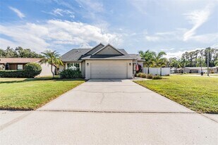 714 Satin Leaf Ave in Oldsmar, FL - Building Photo