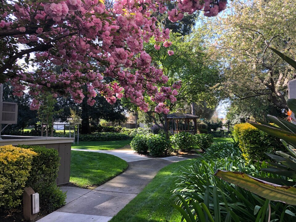 Briarwood Apartments in Pleasant Hill, CA - Foto de edificio