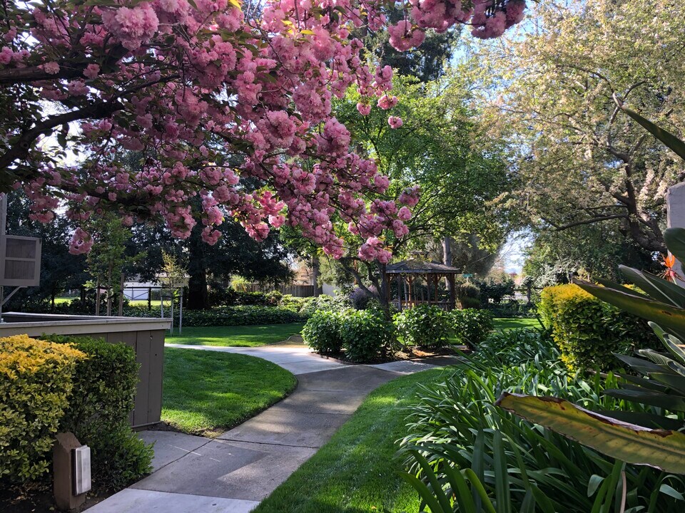 Briarwood Apartments in Pleasant Hill, CA - Building Photo