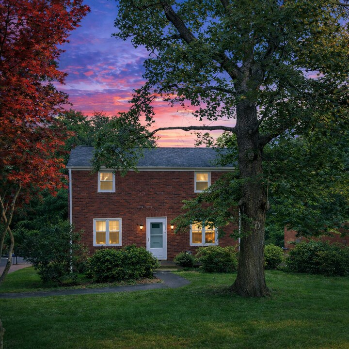 3935 Dowling Ave in Pittsburgh, PA - Building Photo