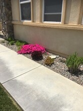 6568 N Caleb Ln, Unit Studio in San Bernardino, CA - Building Photo - Building Photo