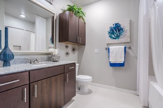 15255 Vintage Preserve Pkwy in Houston, TX - Foto de edificio - Building Photo