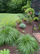 421 Oakhill Ave in Attleboro, MA - Foto de edificio - Building Photo