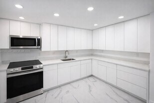 236 NE 55th Terrace in Miami, FL - Building Photo