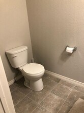1693 Grand Ave in Windsor, CO - Building Photo - Building Photo