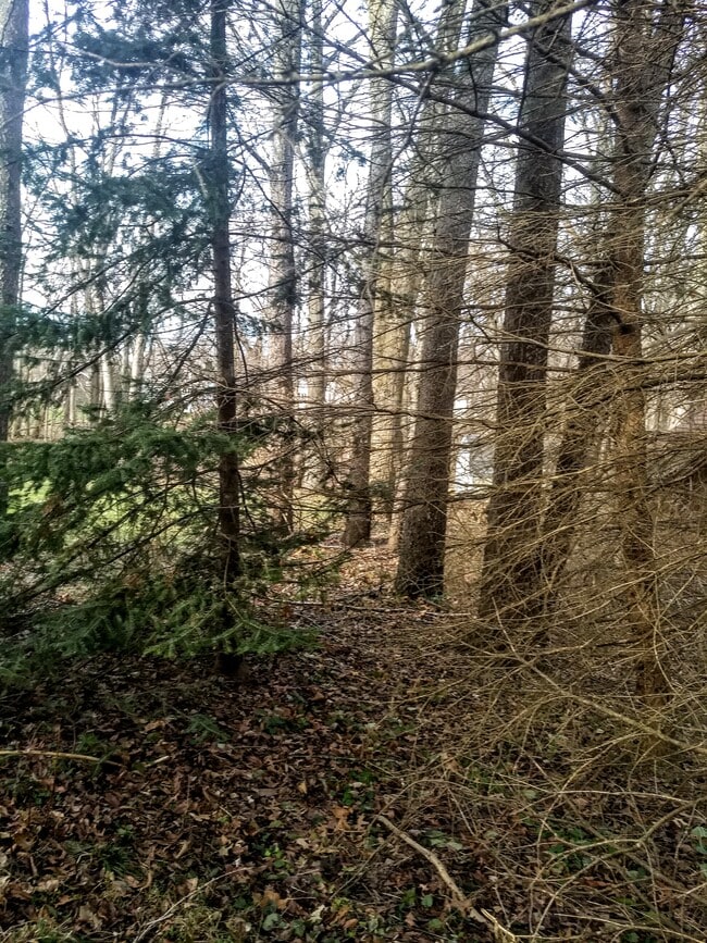 property at 16351 Petro Dr