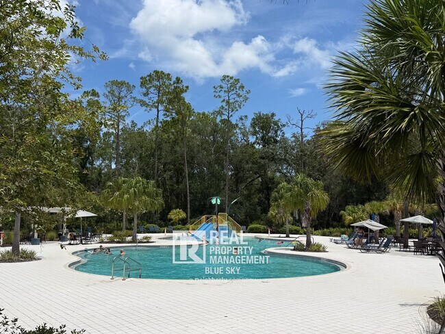 17228 Balance Cv in Land O Lakes, FL - Building Photo - Building Photo