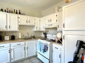 550 Tremont St, Unit 3 in Boston, MA - Building Photo - Building Photo