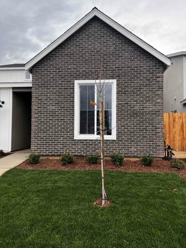 4271 San Gabriel Ave in Clovis, CA - Building Photo - Building Photo