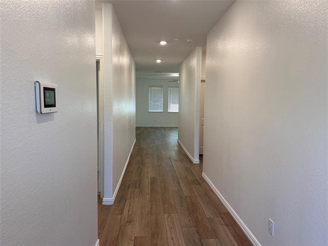 3204 Goose Ln in McKinney, TX - Building Photo - Building Photo