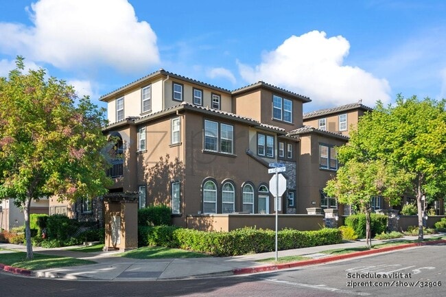 property at 3126 Fioli Way
