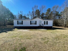 207 Duck Ridge Dr in Pikeville, NC - Building Photo