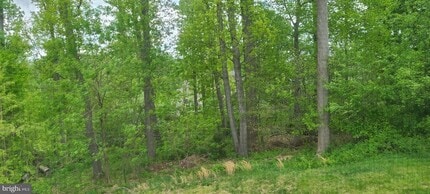 4506 Nightingale Ct in Ellicott City, MD - Building Photo - Building Photo