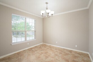 3607 Texas Sotol in San Antonio, TX - Building Photo - Building Photo