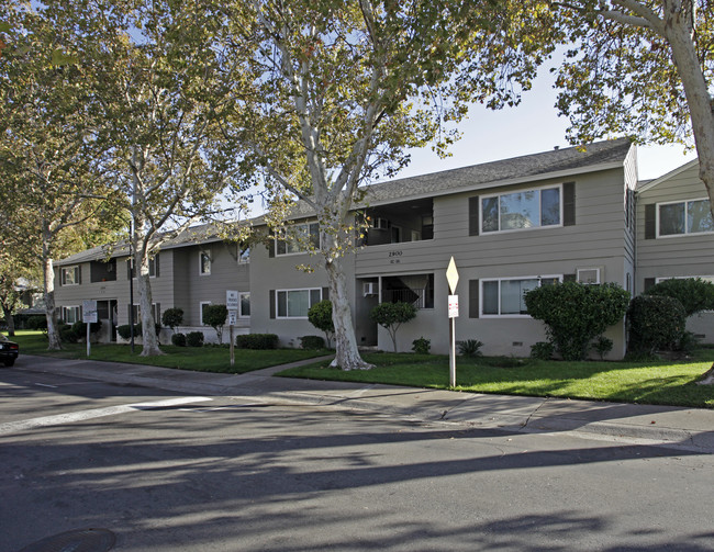 Village Commons in Sacramento, CA - Building Photo - Building Photo