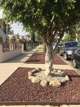 1336 S Mansfield Ave in Los Angeles, CA - Building Photo - Building Photo