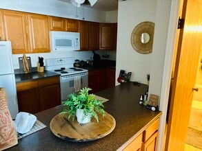 5125 Blodgett Ave in Downers Grove, IL - Building Photo - Building Photo