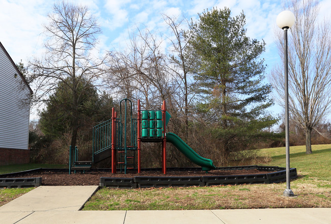 Chestertown Cove Apartments in Chestertown, MD - Foto de edificio - Building Photo