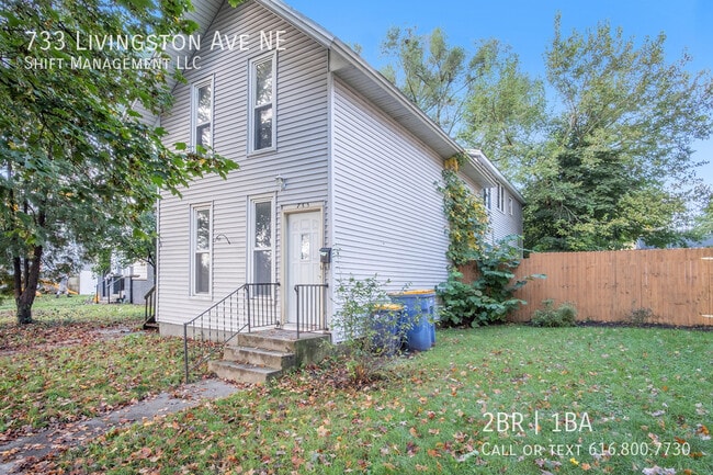 property at 733 Livingston Ave NE