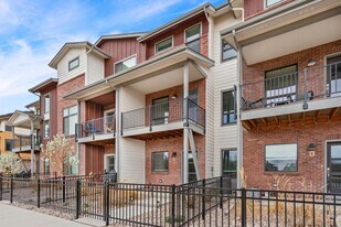 1009 Birdwhistle Ln in Fort Collins, CO - Building Photo