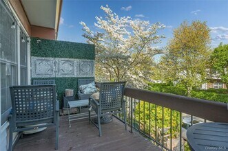 149 Fenimore Rd in Mamaroneck, NY - Foto de edificio - Building Photo
