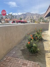 53740 Eisenhower Dr in La Quinta, CA - Building Photo - Building Photo