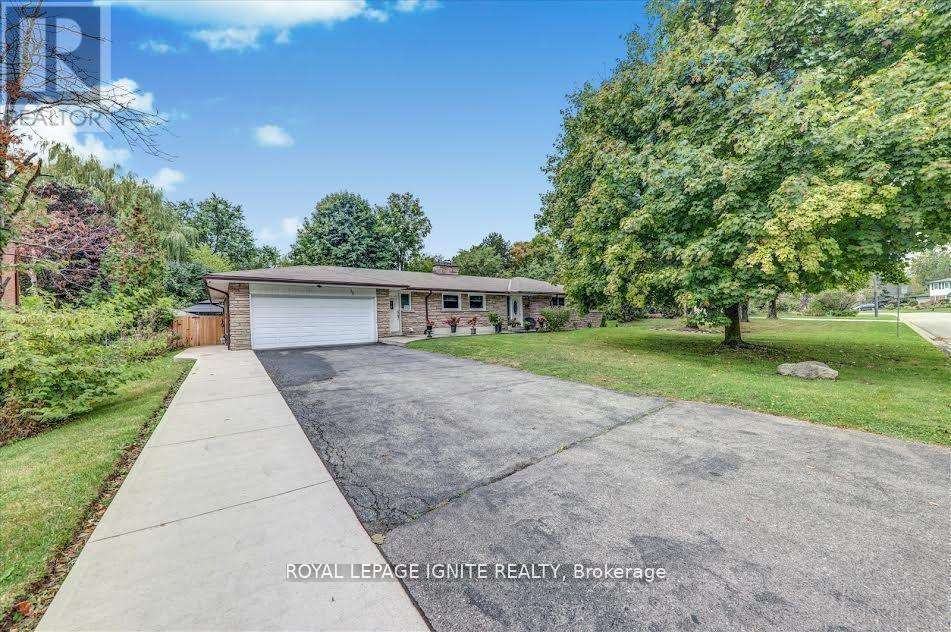 36 Hillside Dr in Brampton, ON - Building Photo